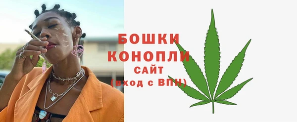 прущие крисы Бородино