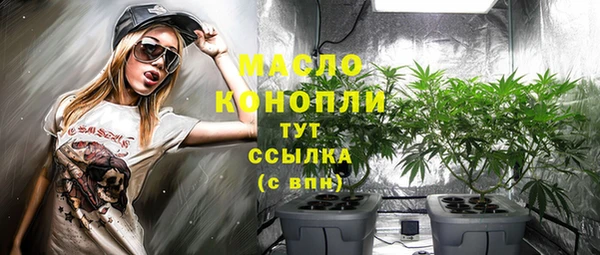 прущие крисы Бородино