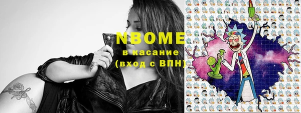 прущие крисы Бородино