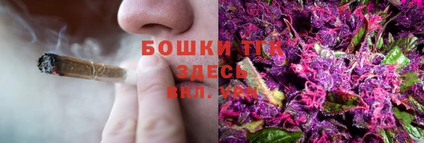 прущие крисы Бородино
