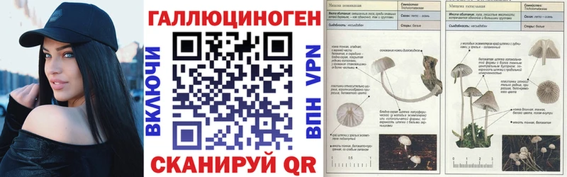 Псилоцибиновые грибы GOLDEN TEACHER Новопавловск