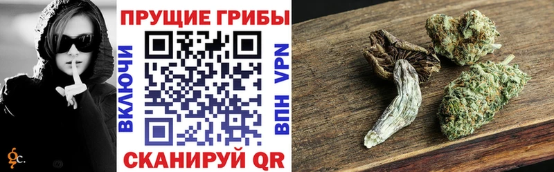Галлюциногенные грибы прущие грибы цена наркотик Новопавловск